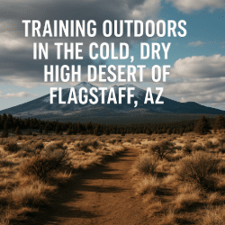 View of the Flagstaff high desert with a dirt trail leading toward snow-capped mountains under a cold winter sky, with the article title overlaid.